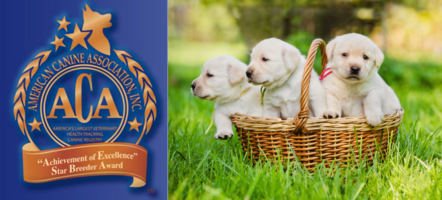 ACA News - American Canine Association awards